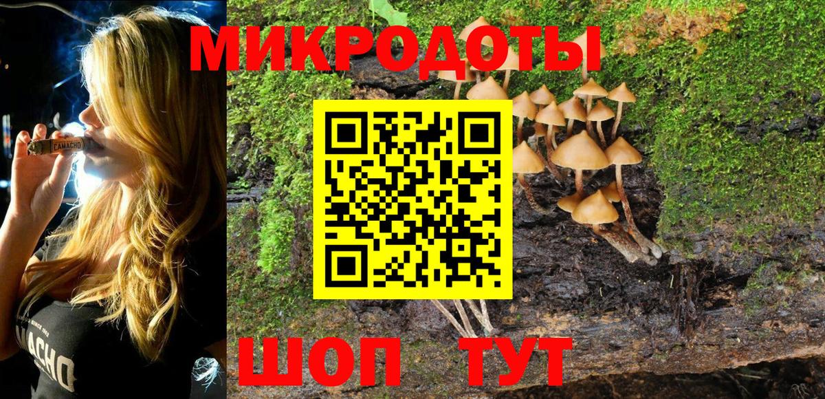 Галлюциногенные грибы MAGIC MUSHROOMS Гуково