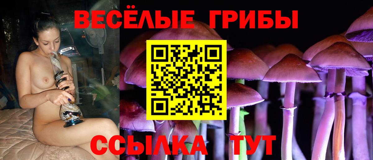 Гуково  Псилоцибиновые грибы прущие грибы  Вход с VPN  Галлюциногенные грибы Psilocybine cubensis 